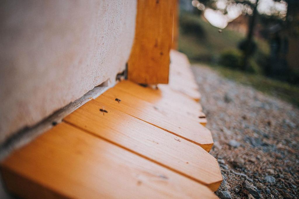 Sleeping With Bees - Tourist Farm Muha Apartment Гросупле Екстериор снимка
