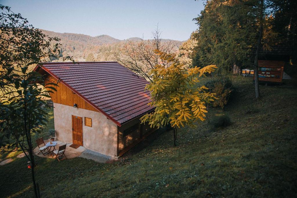 Sleeping With Bees - Tourist Farm Muha Apartment Гросупле Екстериор снимка